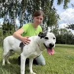 Pies do adopcji, Bełchatów, 5 sierpnia 2021