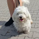 Dżeki.