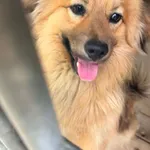 Diego