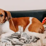 Lilo 616093903264492