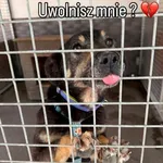 Zen już nie może czekać