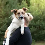 Pies do adopcji, Nowodwór, 22 lipca 2026