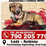 Zocha