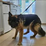 Rurka
