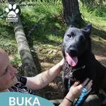Buka