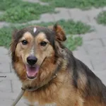 Zula