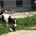 Beti