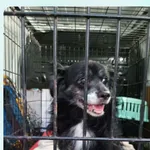 Tofik 307/2026