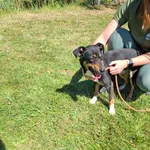 352880 Tobi