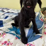 389583 Hugo