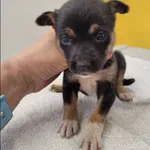Namita