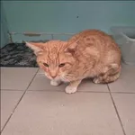 Galileo