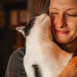Kot do adopcji, Milanówek, 30 września 2026