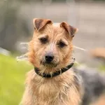 Maggie