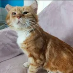 Leonard