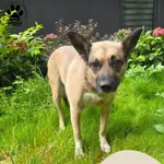 Greta