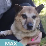 Max
