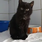 Aurora.