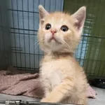 Fixio ID: 6750